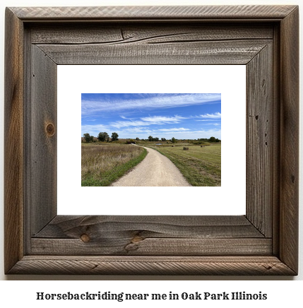 horseback riding near me in Oak Park, Illinois